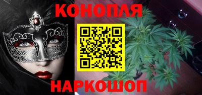 шишки Будённовск