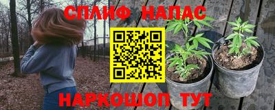 стафф Бугуруслан